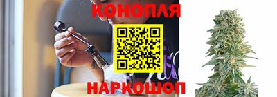 кокс Бердск