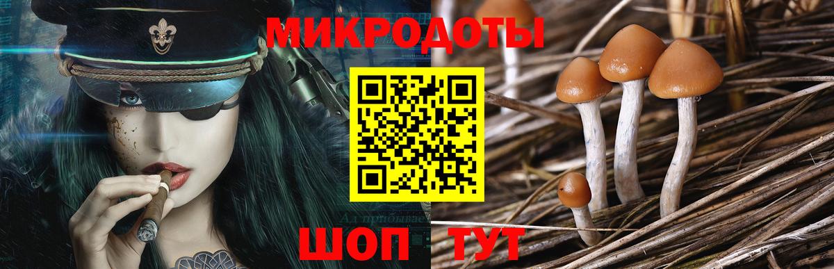 Галлюциногенные грибы Psilocybe  Вход с VPN  Воскресенск 